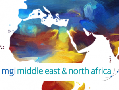 Middle East and North Africa Region announces NEW merged governance structure